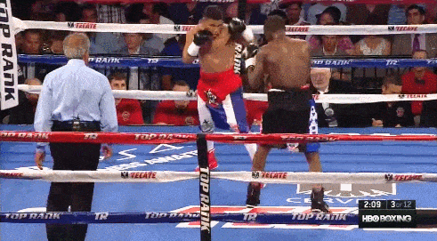 GIF tiré du combat entre Gamboa et Crawford, ce dernier dominé en garde de droitier